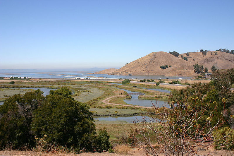 Coyote_Hills